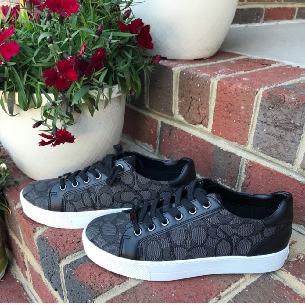 Coach NWOT Paddy Low Lace Up Fashion Sneakers!